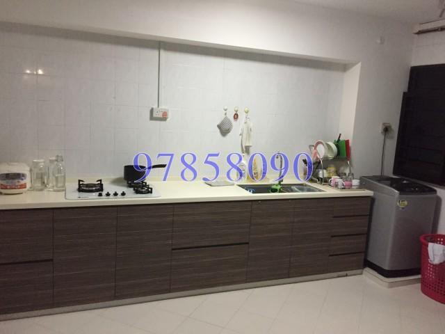 Blk 244 Compassvale Road (Sengkang), HDB 5 Rooms #134802802